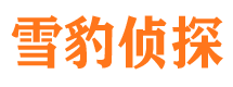 台山出轨调查